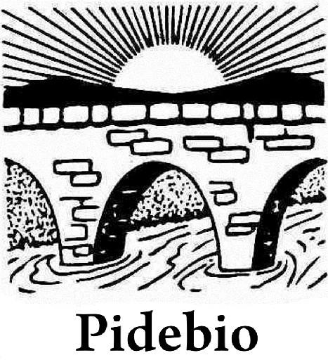 Pidebio Logo Original